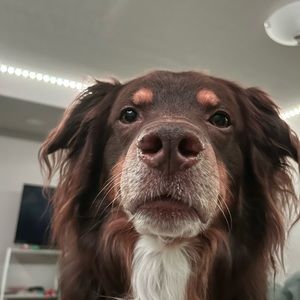 Meet your Posher, Isabelle